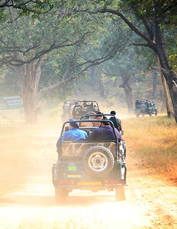 Jungle safari booking in corbett