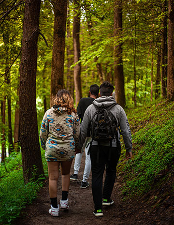Pench Park  Tour Package